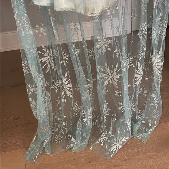 Adult Elsa Frozen Dress Costume - Picture 9 of 11